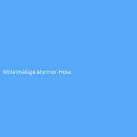 Mittelm&auml;&szlig;ige Marmor-Hose