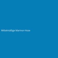 Mittelm&auml;&szlig;ige Marmor-Hose