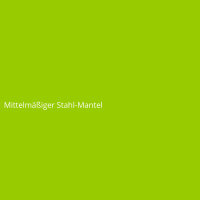Mittelm&auml;&szlig;iger Stahl-Mantel